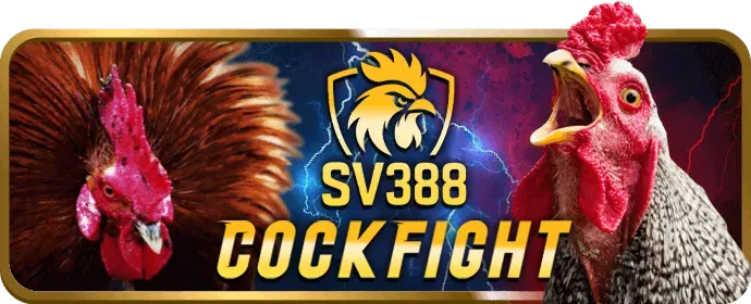 Bắn Cá Vua Hải Tặc